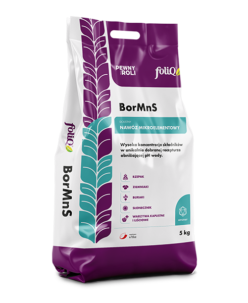 foliQ BorMnS