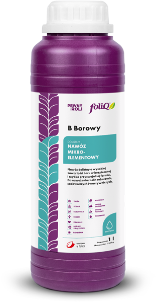foliQ B Borowy