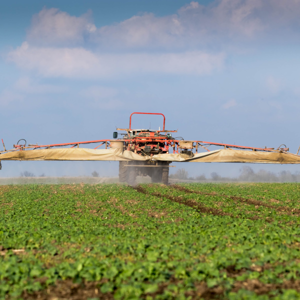 dokarmianie dolistne rzepaku borem