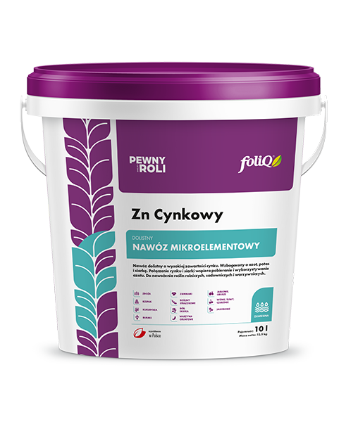 Zn Cynkowy