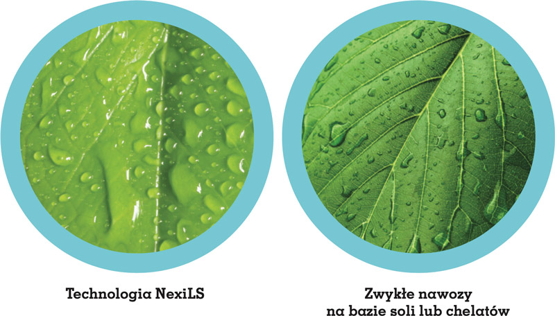 NexiLS
