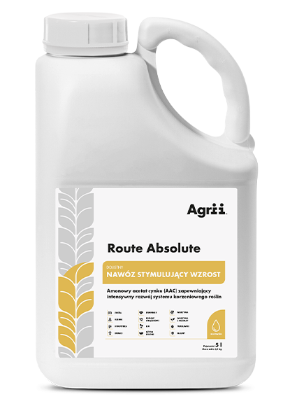 Route Absolute