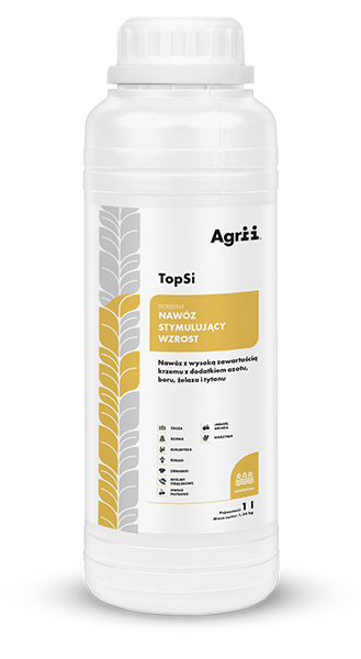 TopSi