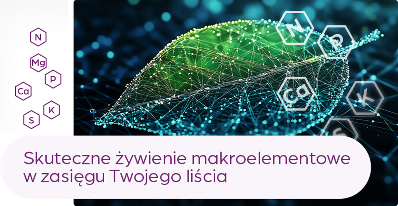 foliQ Nawozy makroelementowe