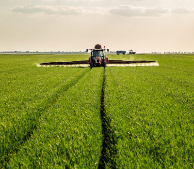nawóz dolistny na zboża