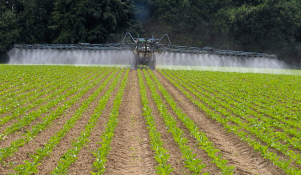 lignosulfoniany NexiLS