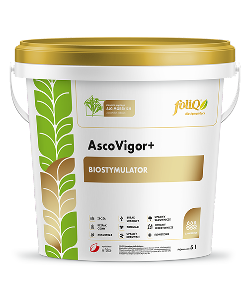 foliQ Ascovigor+
