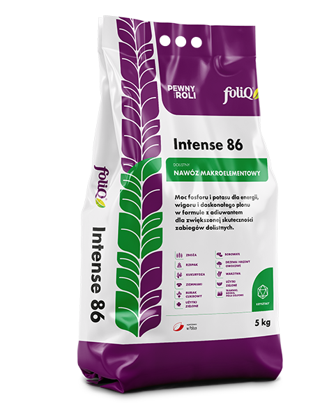 foliQ Intense 86